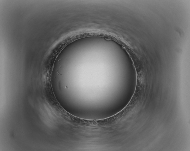 X0000114511495200910191121