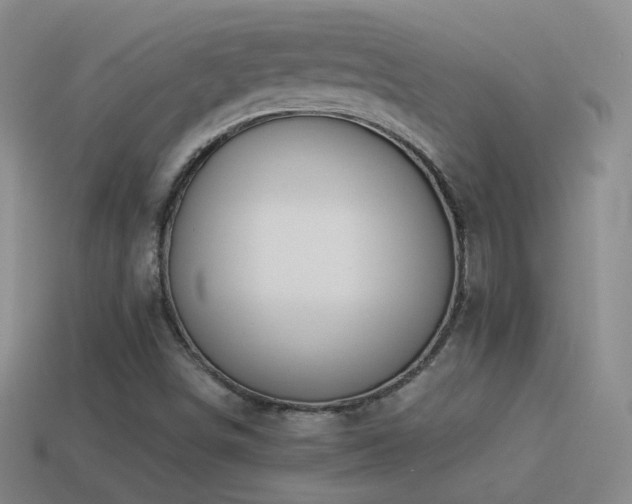 X0000114511498200910191121