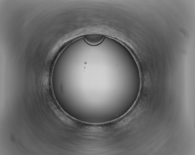 X0000114511499200910191121