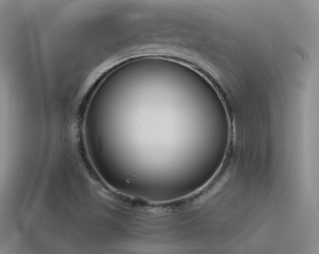 X0000114511501200910191122