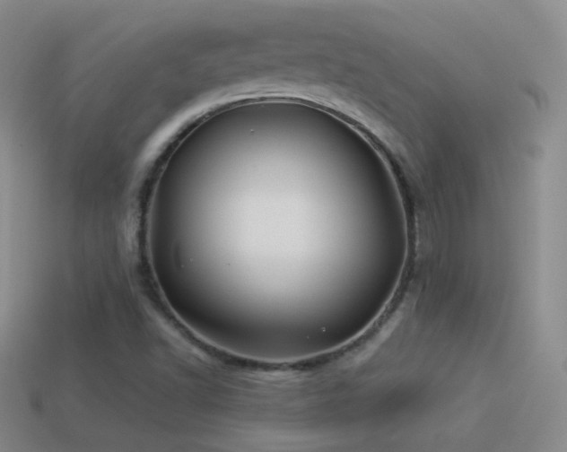X0000114511502200910191122