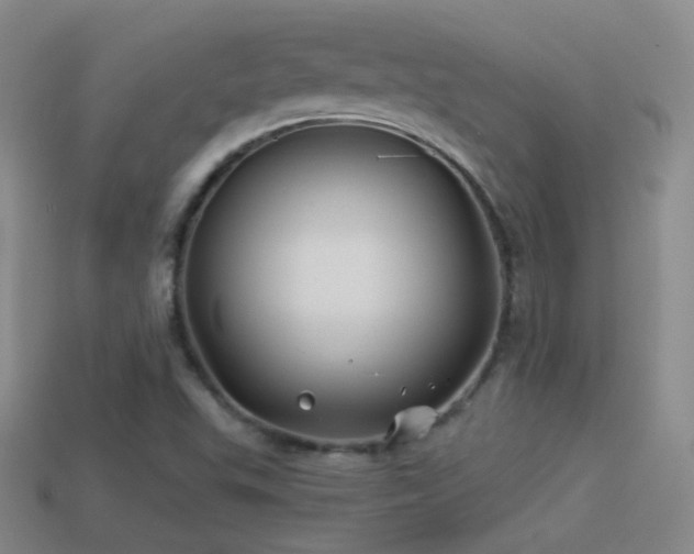 X0000114511503200910191122