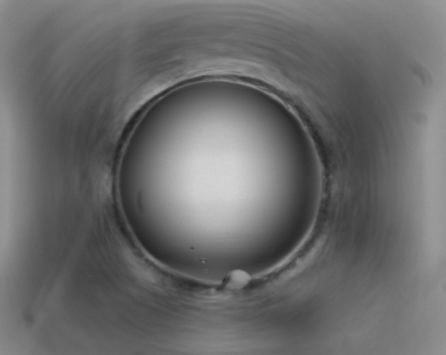 X0000114511505200910191122