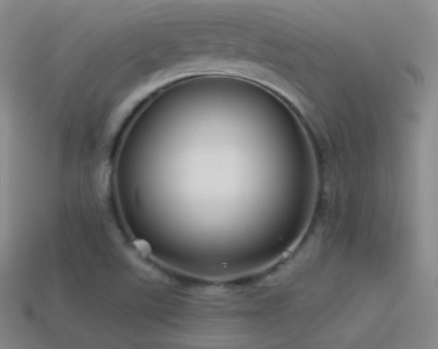 X0000114511507200910191122