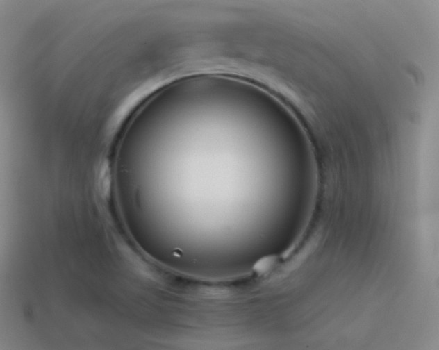 X0000114511509200910191122