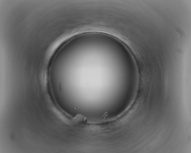 X0000114511511200910191122