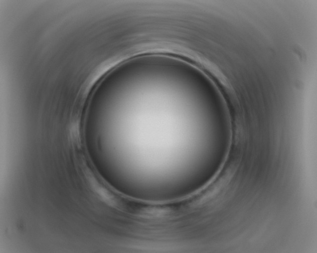 X0000114511513200910191122