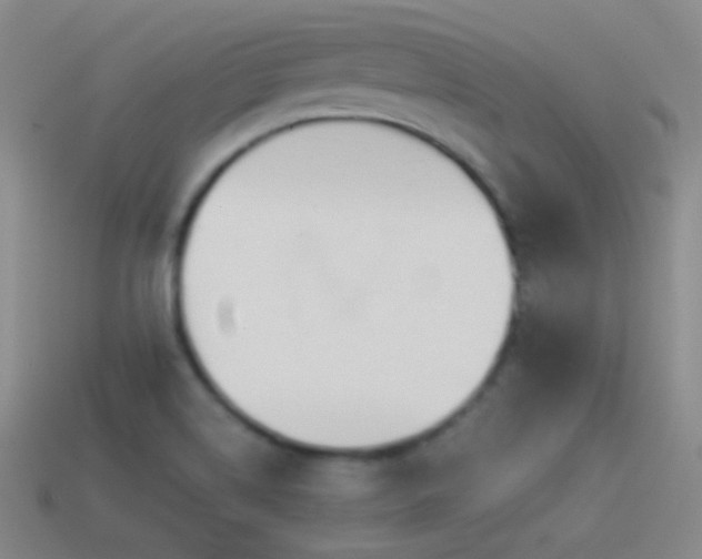X0000114511514200910191122
