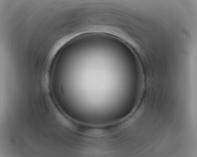 X0000114511517200910191122