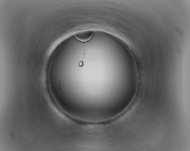 X0000114511518200910191122