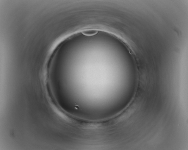 X0000114511519200910191122