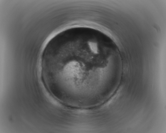 X0000114511522200910191122