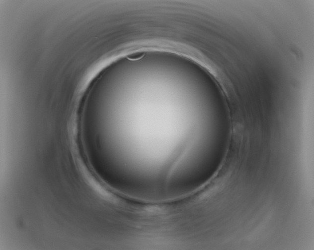 X0000114511523200910191122
