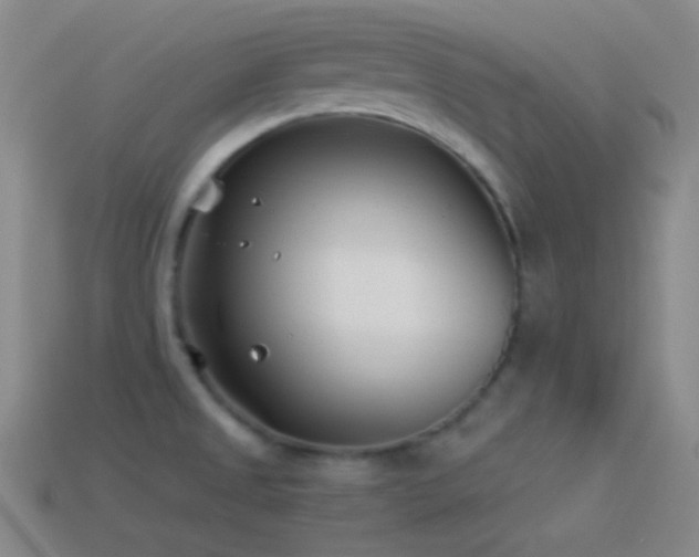 X0000114511525200910191122