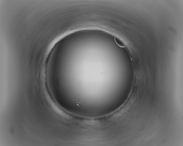 X0000114511526200910191122