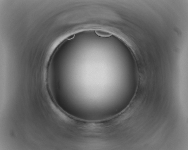 X0000114511527200910191122