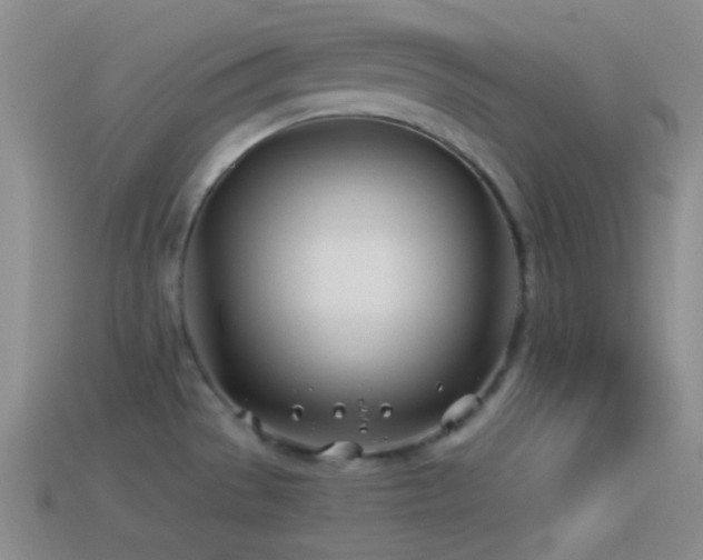 X0000114511529200910191122