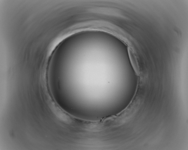 X0000114511530200910191122