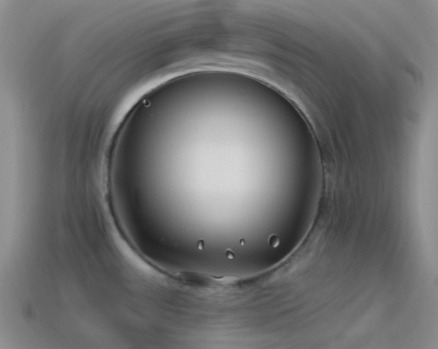 X0000114511531200910191122