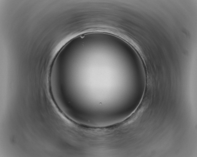 X0000114511533200910191122
