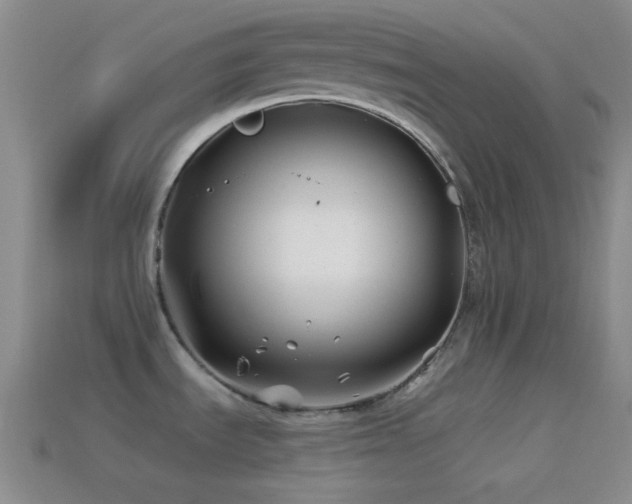 X0000114511535200910191122