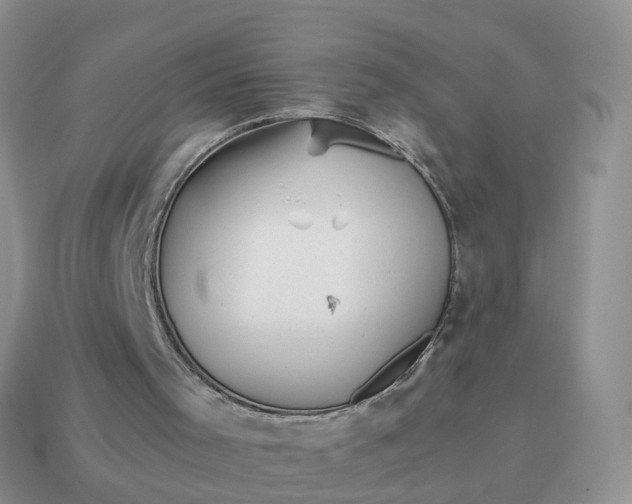 X0000114510001200911091139