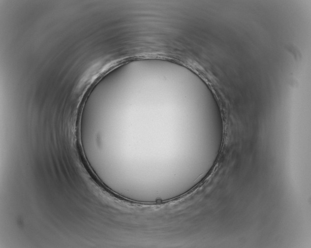 X0000114510002200911091139