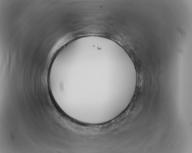 X0000114510004200911091139