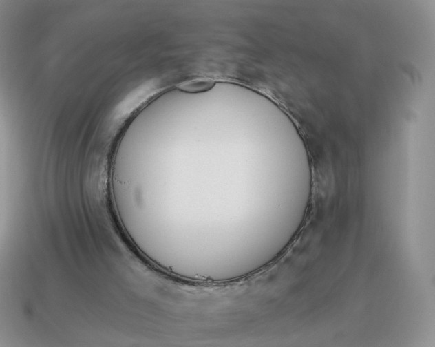 X0000114510005200911091139