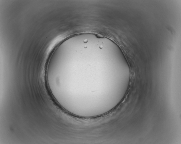 X0000114510006200911091139