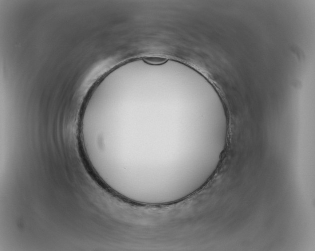 X0000114510007200911091139