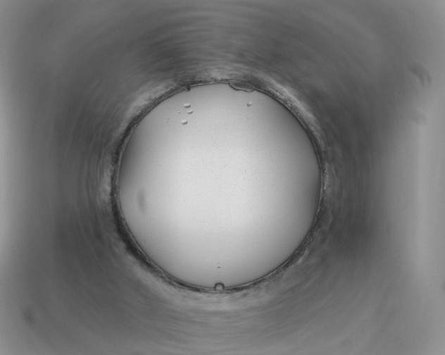 X0000114510010200911091139