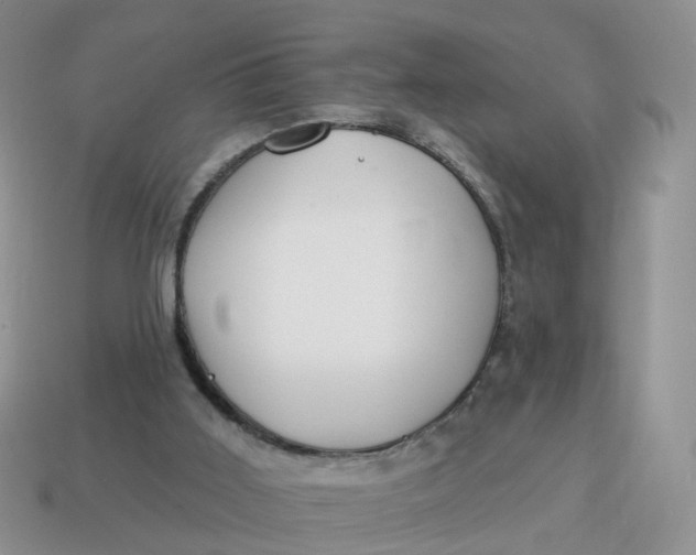 X0000114510011200911091139