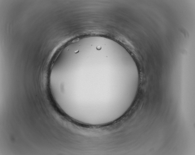 X0000114510012200911091139