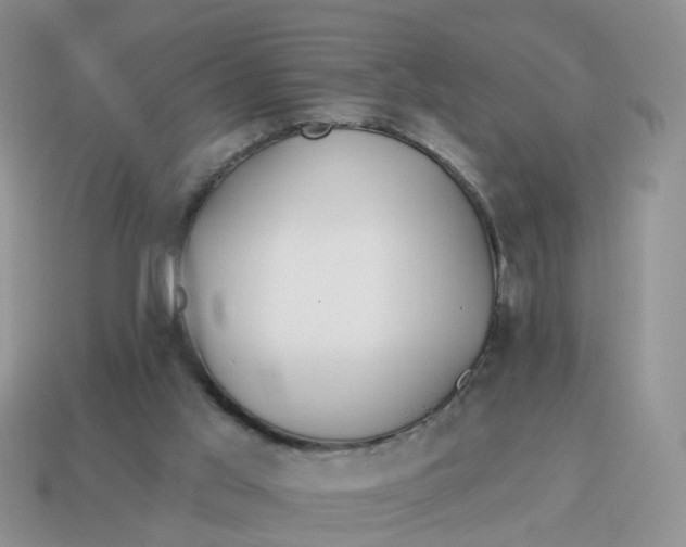 X0000114510013200911091139