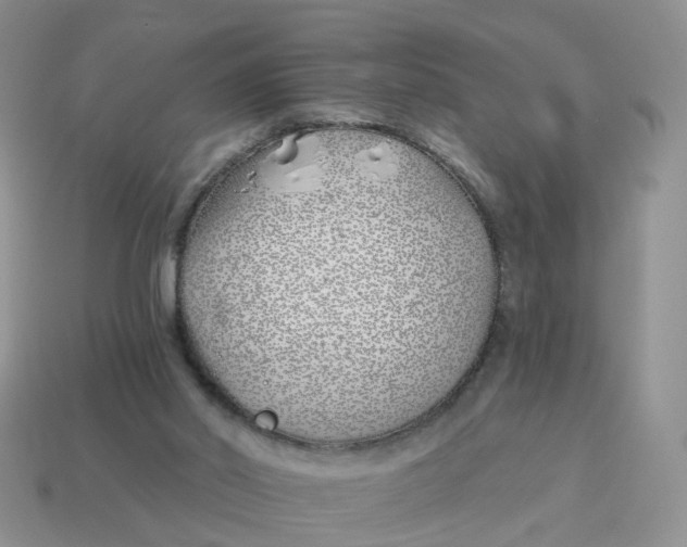 X0000114510014200911091139