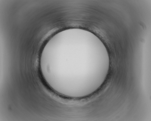 X0000114510016200911091139