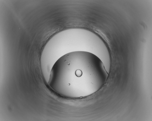 X0000114510017200911091139