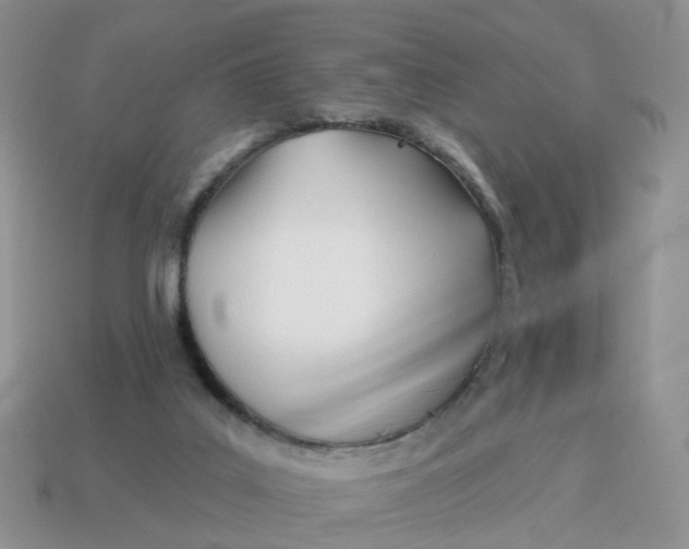 X0000114510019200911091139