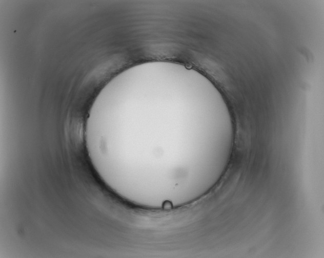 X0000114510021200911091139