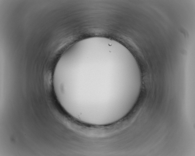 X0000114510024200911091139