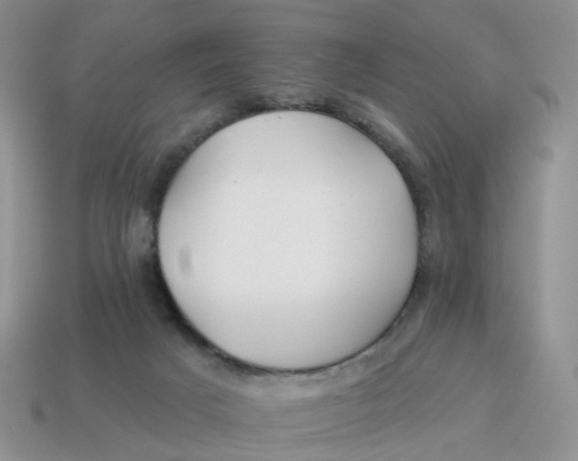 X0000114510025200911091139