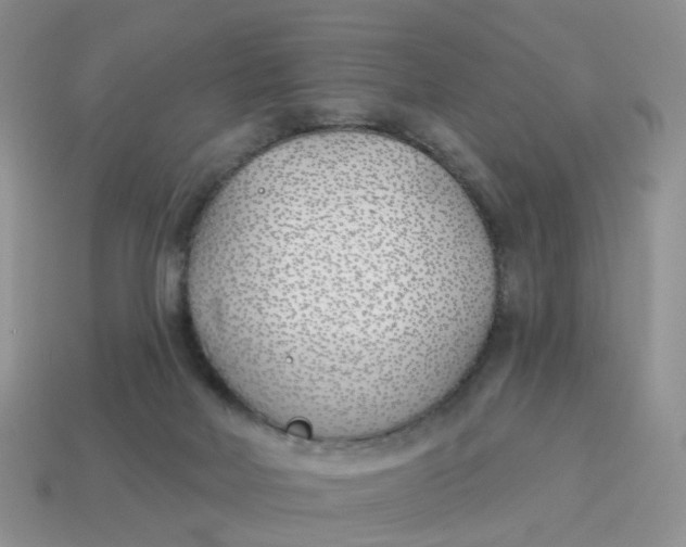 X0000114510026200911091139