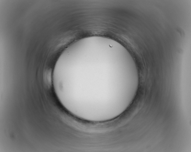 X0000114510028200911091139