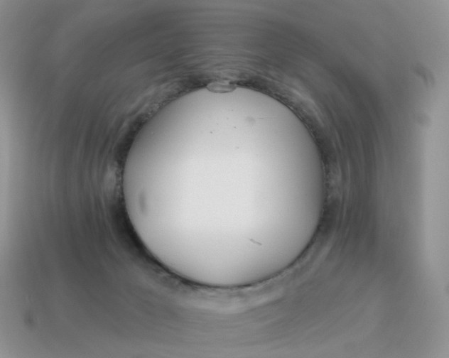 X0000114510029200911091139