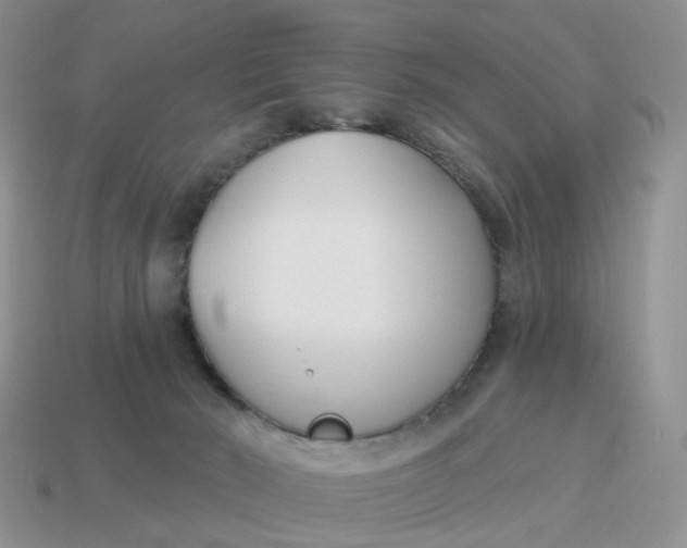 X0000114510030200911091139