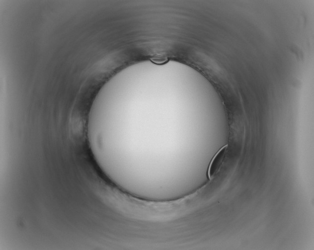 X0000114510031200911091139