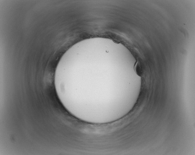 X0000114510033200911091139