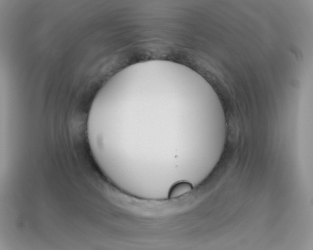 X0000114510034200911091139