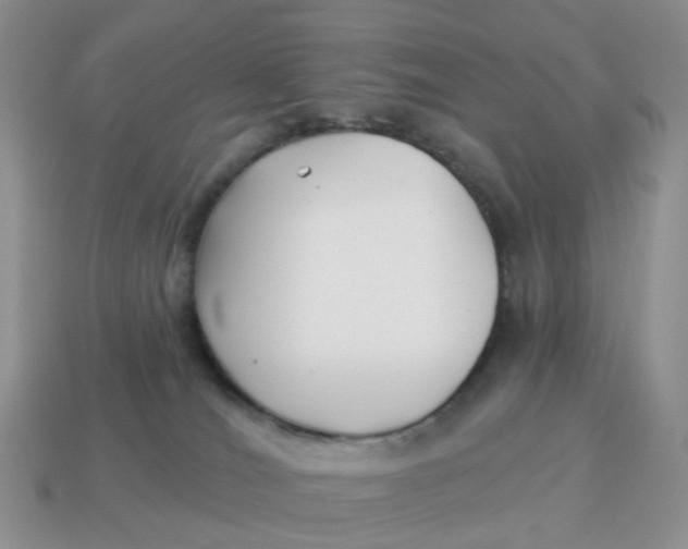 X0000114510036200911091139